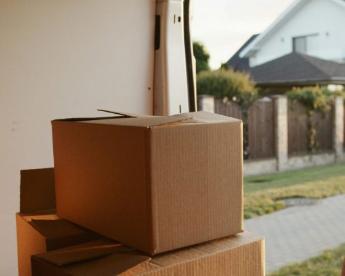 pexels-artempodrez-5025512